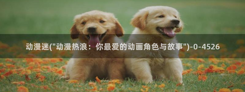 动漫成人：动漫迷(\