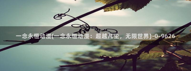 动漫排行