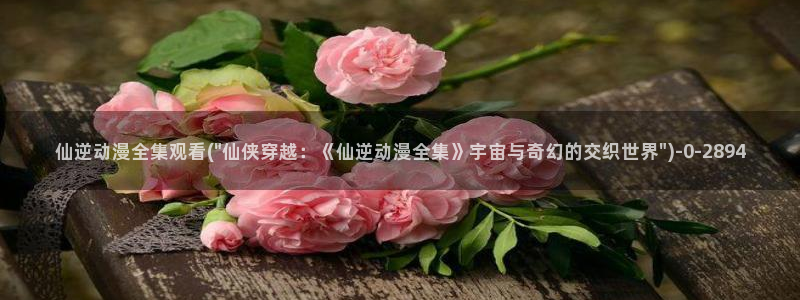 日本动漫艳母