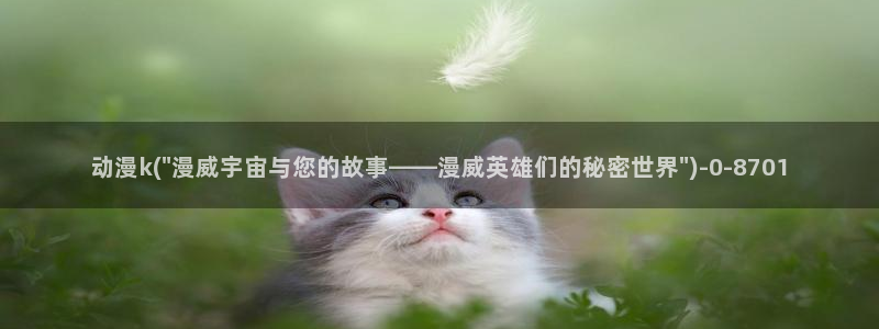 h动漫