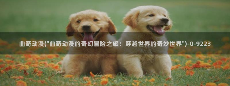 acg动漫