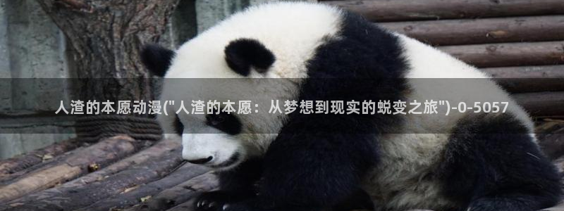 风之动漫