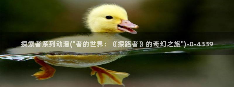 在线观看动漫