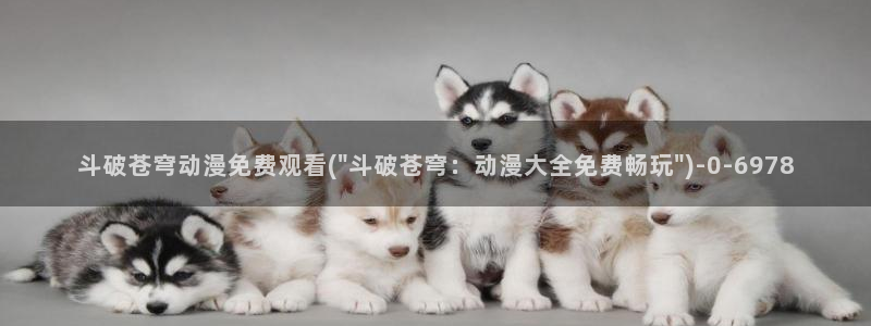狐妖小红娘动漫全集免费观看